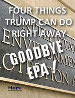 The Environmental Protection Agency has become a state within a state. The agency, created by President Nixon's executive order, is too corrupt to be reformed.